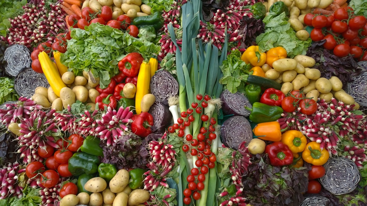 Histoire et fondation de Nutritionguidanceflow